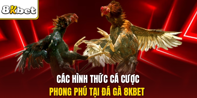 Các hình thức cá cược phong phú tại Đá gà 8kbet 