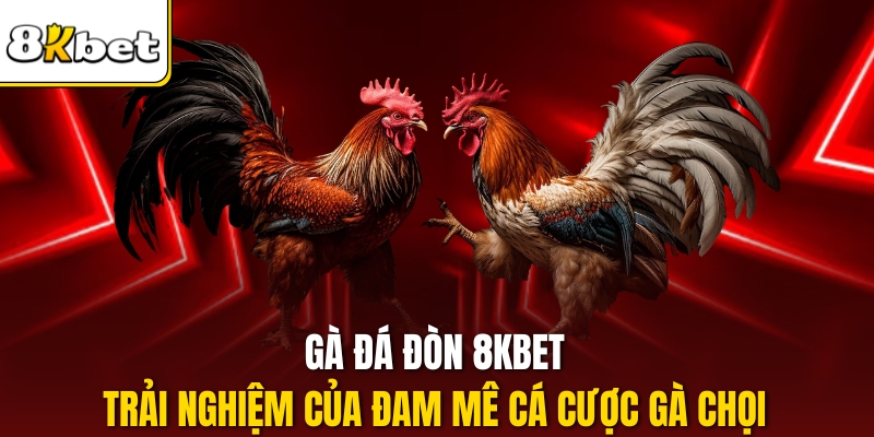 Gà đá đòn 8kbet – Trải nghiệm của đam mê cá cược gà chọi