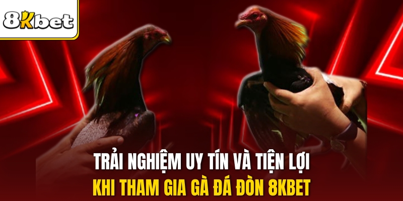 Trải nghiệm uy tín và tiện lợi khi tham gia Gà đá đòn 8kbet